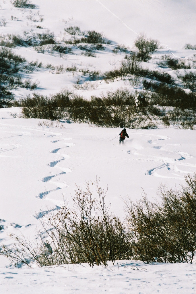 Difficile de trouver meilleure neige !