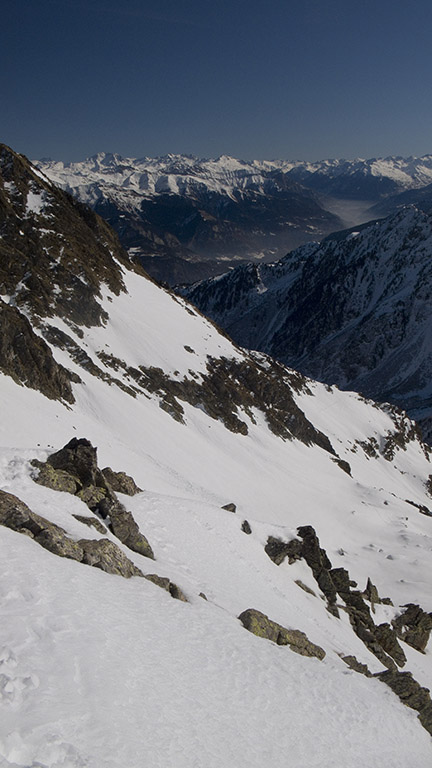 Abus de polarisant