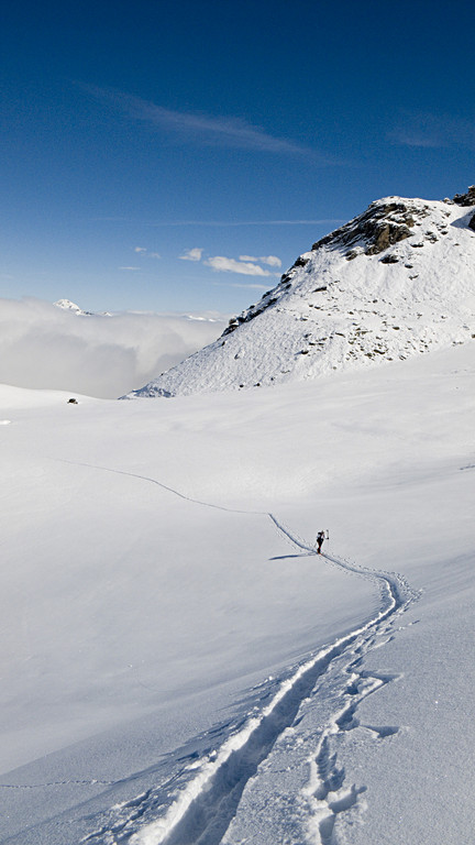 Bubu dans une trace bien hivernale.