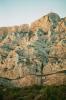 La croix de Provence, enchanement les Moussaillons, arte du Jardin et arte SO de la Croix