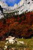 Monte au passage de l'Aulp du Seuil